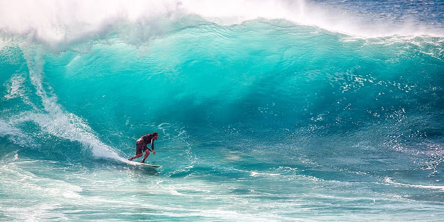 Natural Surfer